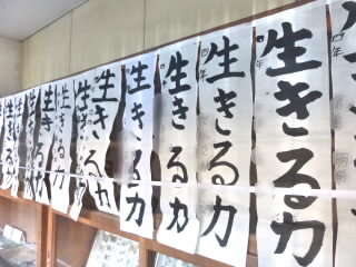 P1240351.jpg
