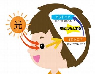 画像4.jpg
