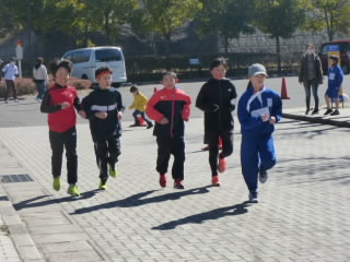 P1170051.jpg