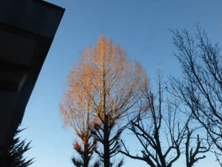 P1240340.jpg
