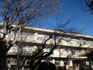 P1240371.jpg