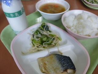 P1240566.jpg