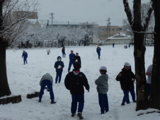 P1250016.jpg