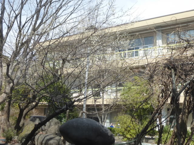 P1250343.jpg
