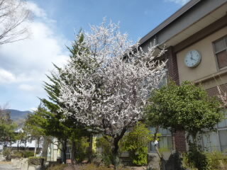 P1250345.jpg