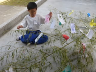 P1200044.jpg