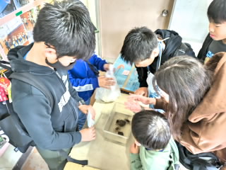 1102いきもの館 (11).jpg