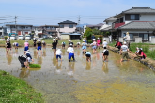 20190527taue5nen002.JPG