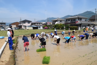 20190527taue5nen003.JPG