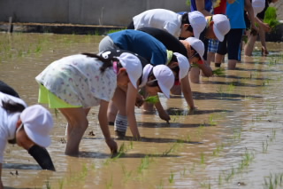 20190527taue5nen004.JPG