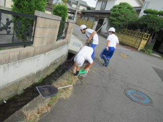 20200915kawanoikimono001.JPG