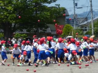 20240611-1-1.jpg