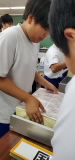 20240719_143156.jpg