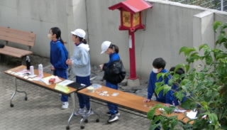 CIMG0910.jpg