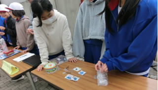 CIMG0912.jpg