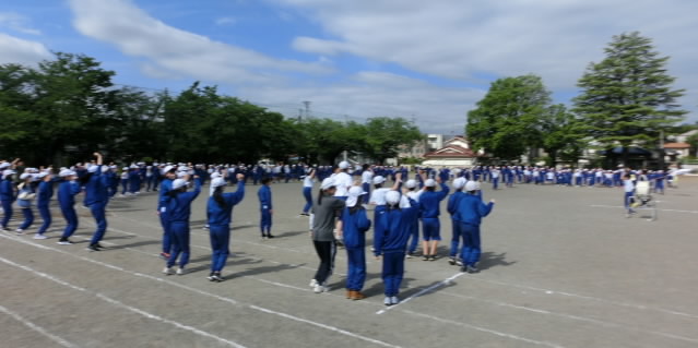 CIMG8365.jpg
