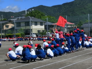 CIMG8451.jpg