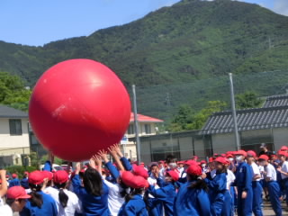 CIMG8474.jpg