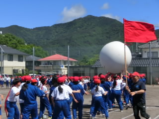 CIMG8480.jpg
