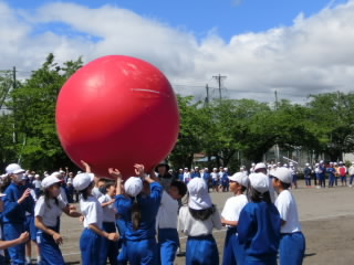 CIMG8482.jpg