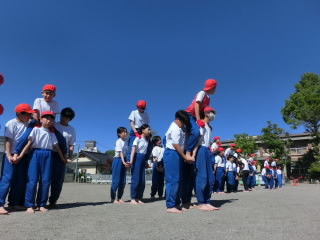 CIMG8487.jpg