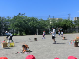 CIMG9527.jpg