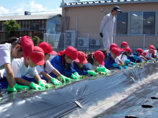 DSCN0448.jpg