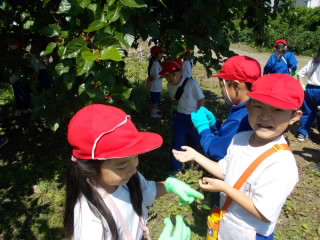 DSCN0479.jpg