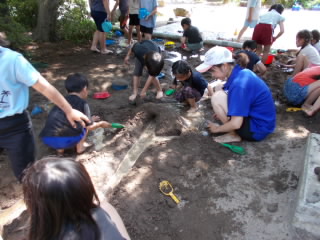 DSCN0562.jpg