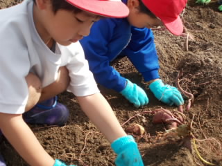 DSCN1266.jpg