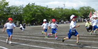 P1120497.jpg