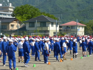 P1180288.jpg