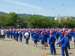 P1180298.jpg