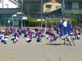 P1180317.jpg