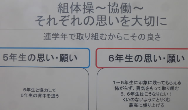 P1180341.jpg