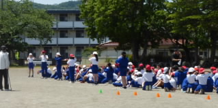 P1180434.jpg