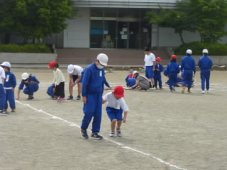 P1180550.jpg
