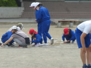 P1180556.jpg
