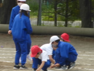 P1180557.jpg
