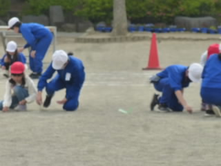 P1180558.jpg