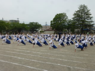 P1180569.jpg