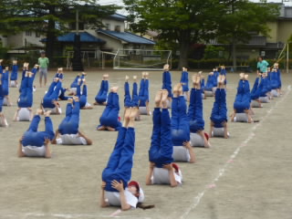 P1180573.jpg