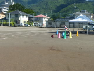 P1180629.jpg