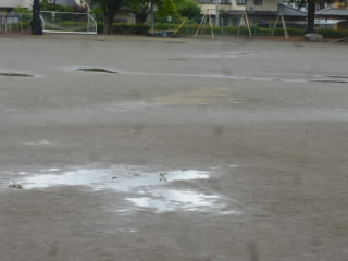 P1180797.jpg