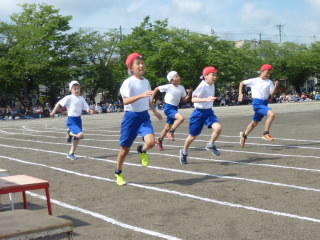 P1180870.jpg