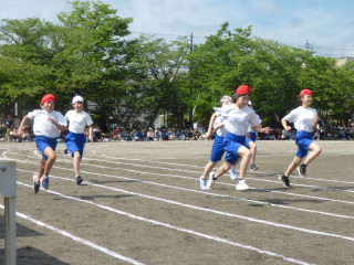 P1180883.jpg