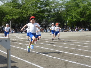 P1180892.jpg