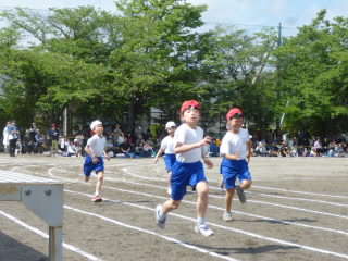 P1180899.jpg