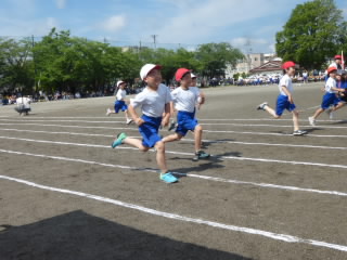 P1180900.jpg