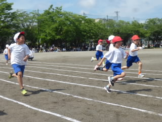 P1180902.jpg